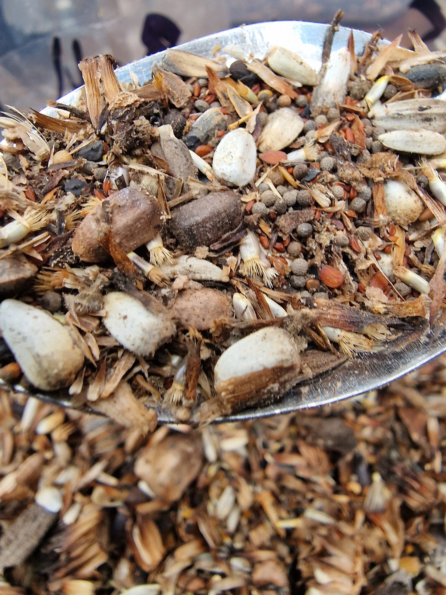 WILDFLOWER MIX - SELLING OUT FAST!