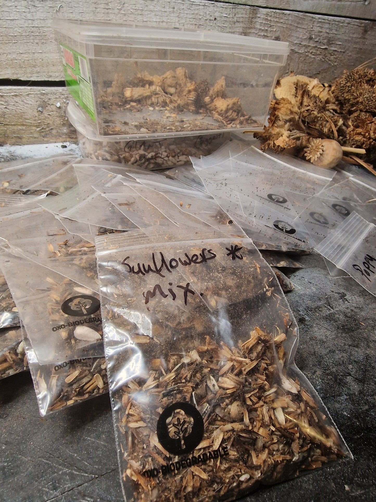Sunflower seed (mixed giants)