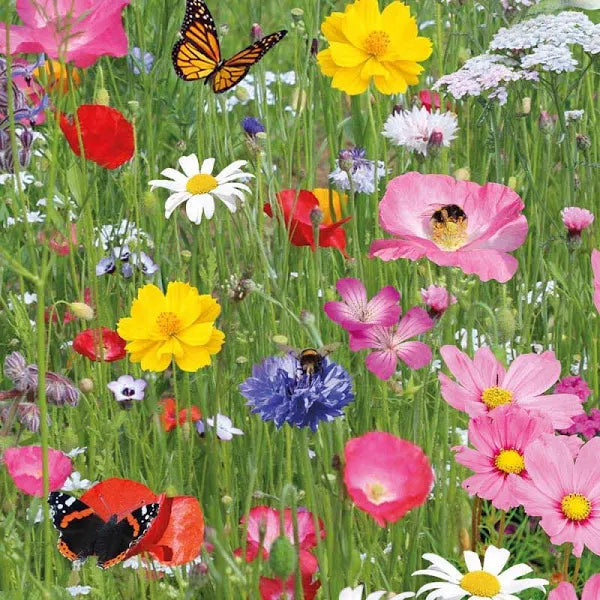WILDFLOWER MIX - SELLING OUT FAST!